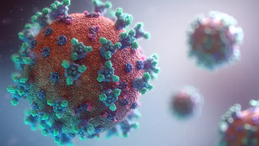 Nipah Virus: Symptoms, Transmission, and Prevention Strategies