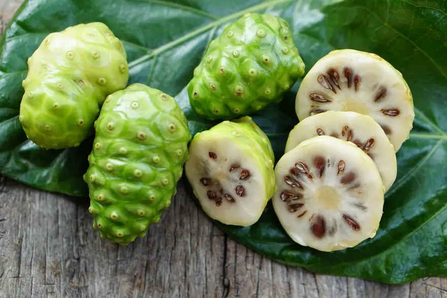 Noni Juice Benefits: Side Effects & How To Consume It Properly
