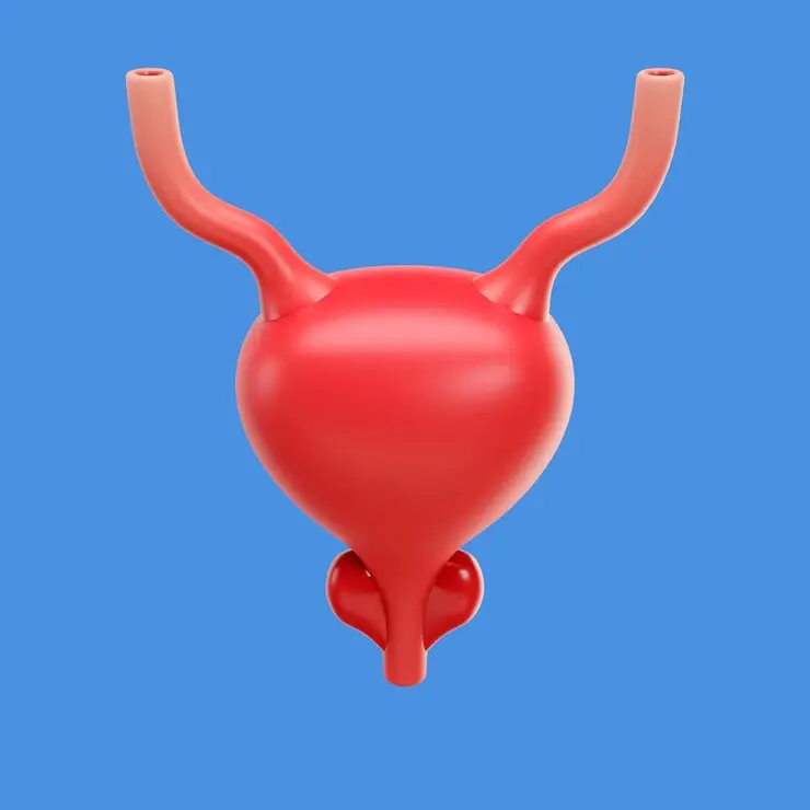 Everything You Need To Know About Overactive Bladder (OAB)