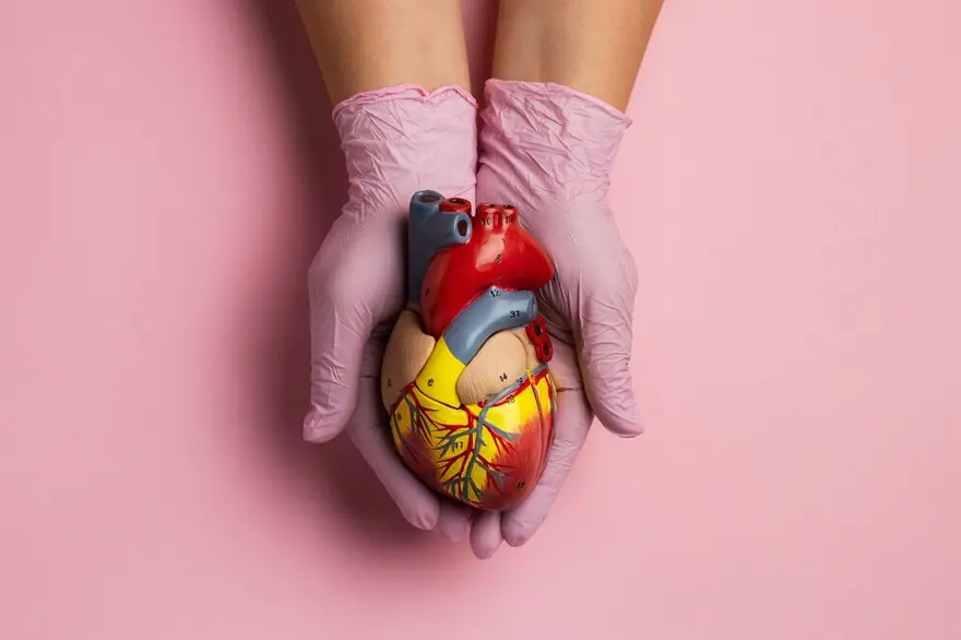 Pericardial Effusion: Symptoms, Causes, and Treatments
