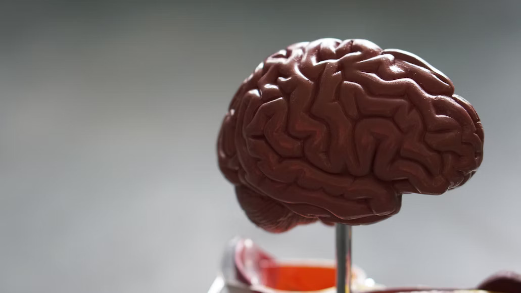 Understanding Parkinson's Disease: Causes, Types, Treatment & More