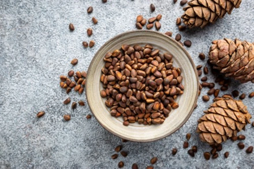 Amazing Pine Nuts Benefits for Your Health, Skin, and More