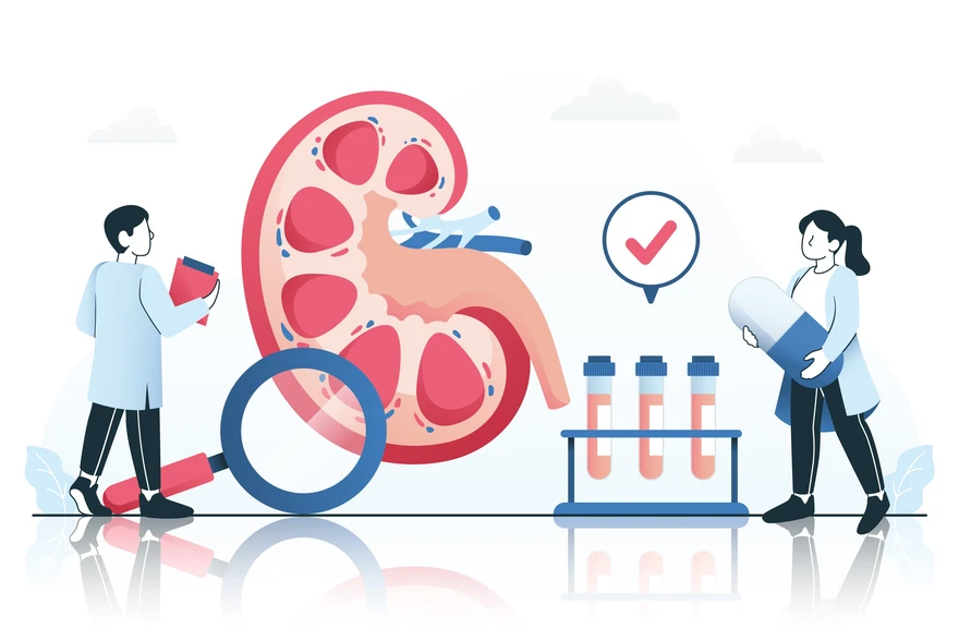 Pyelonephritis: Everything You Need to Know About The Kidney Infection