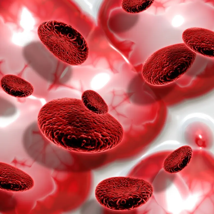 Qartemi: India's Revolutionary CAR T Therapy for Blood Cancer