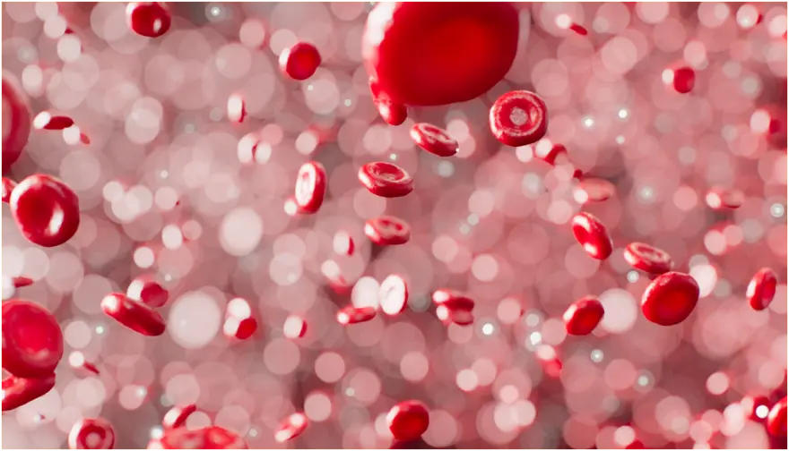 Red Blood Cells: Functions, Normal Count & Health Importance