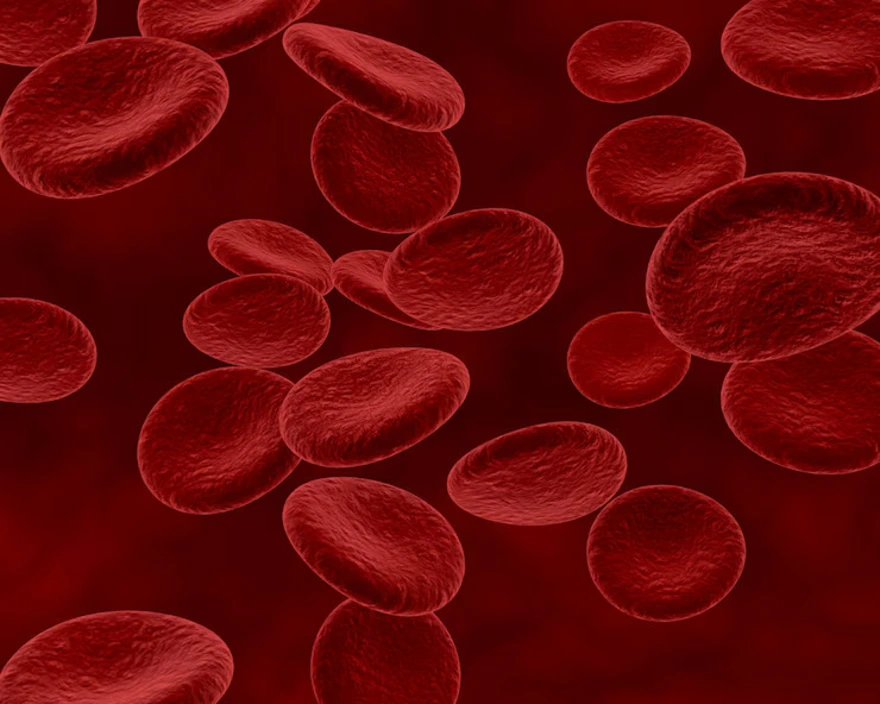 Reticulocyte Count: Measuring New Red Blood Cell Production
