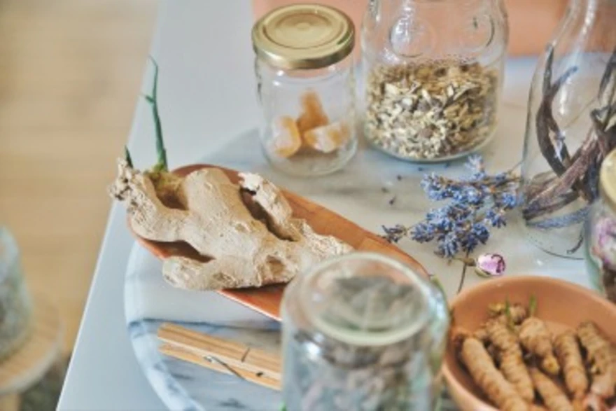 Shatavari Benefits: Ayurvedic Uses & Scientific Evidence