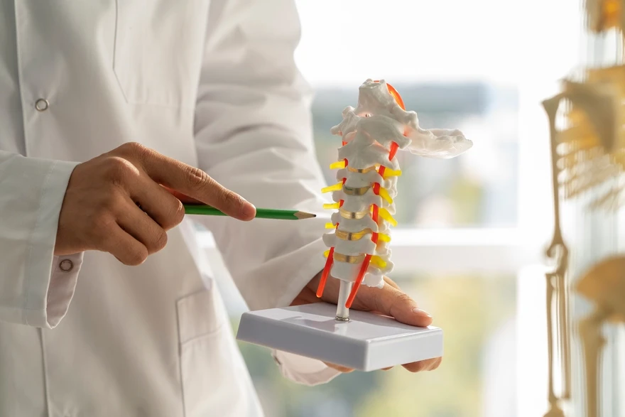 Understanding Spinal Cord Injury: Types, Symptoms, Causes, and Treatment