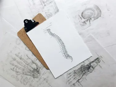 Spine: Anatomy, Understanding Structure & Function
