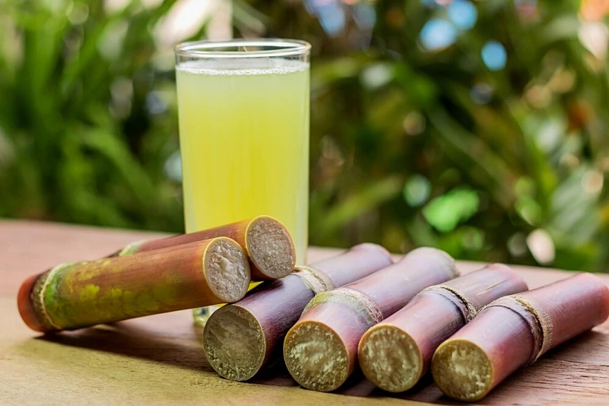 Sugarcane Juice: Nature's Refreshing Elixir with Remarkable Health Benefits!