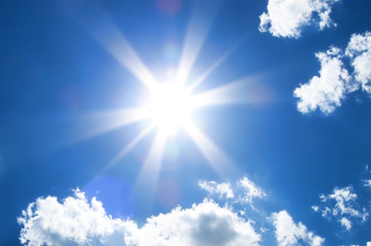 Rise & Shine: All you need to know about Vitamin D