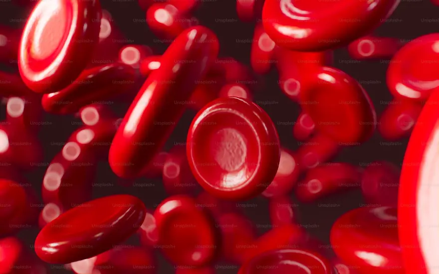 Thrombocytopenia: A Comprehensive Guide to Low Platelet Counts