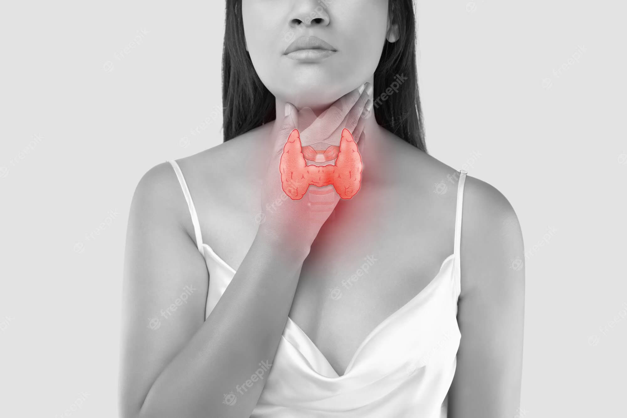 Thyroid Gland: 10 Facts You Should Know