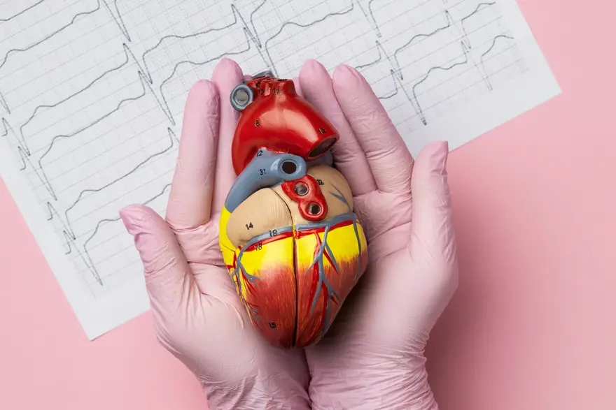 Ventricular Fibrillation: Causes, Symptoms, and Risk Factors Explained