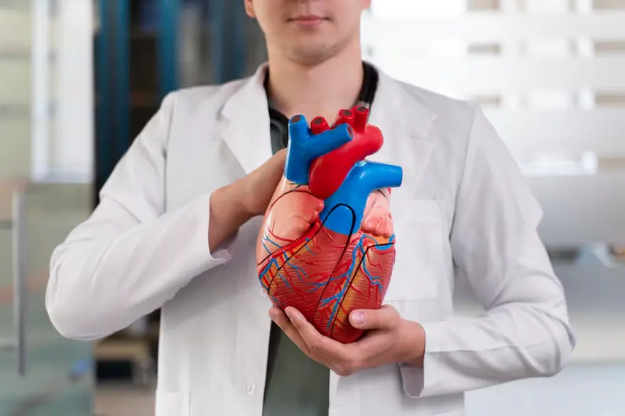 Ventricular Septal Defect: Causes, Symptoms, and Treatment of Heart Defects