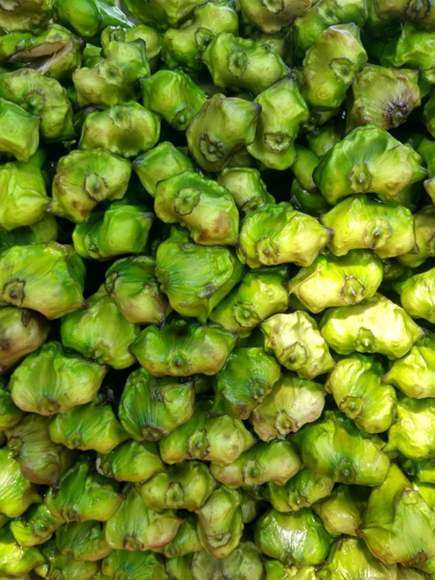 Water Chestnut (Singhara) Benefits: A Nutritious Seasonal Delight