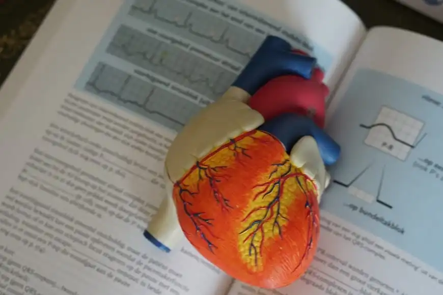 What is Tachycardia? All You Need To Know