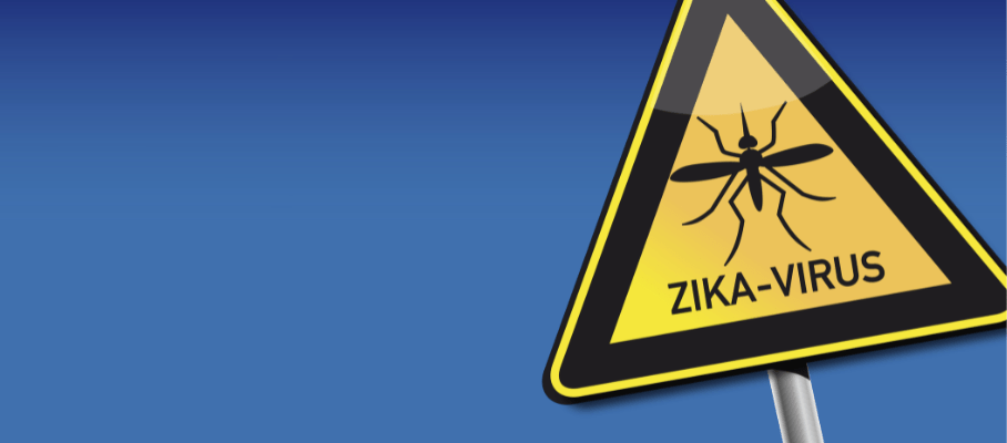 Zika Virus: Symptoms, Disease Overview, and Treatments
